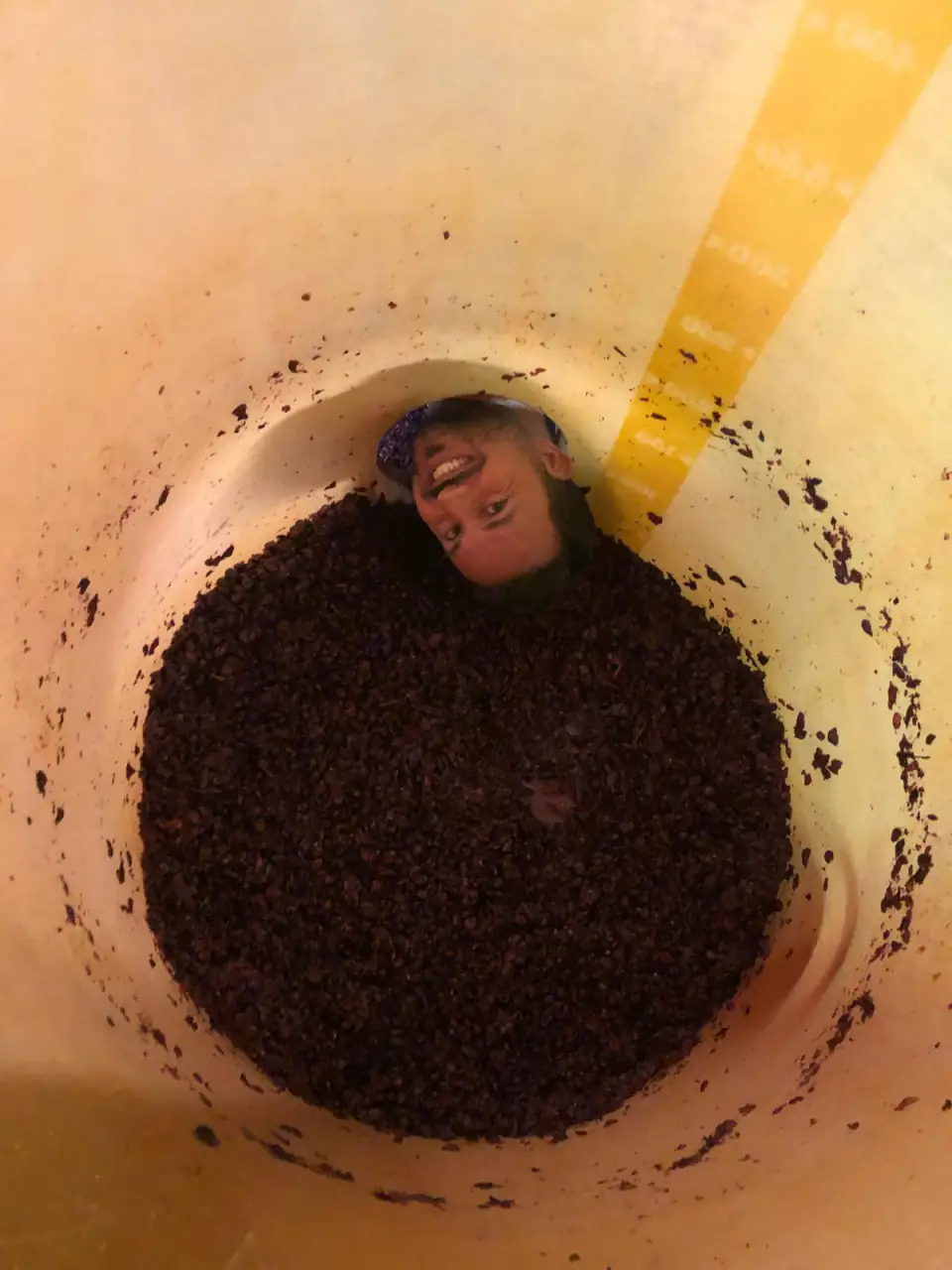 Un sorriso che spunta dal tino pieno di mosto