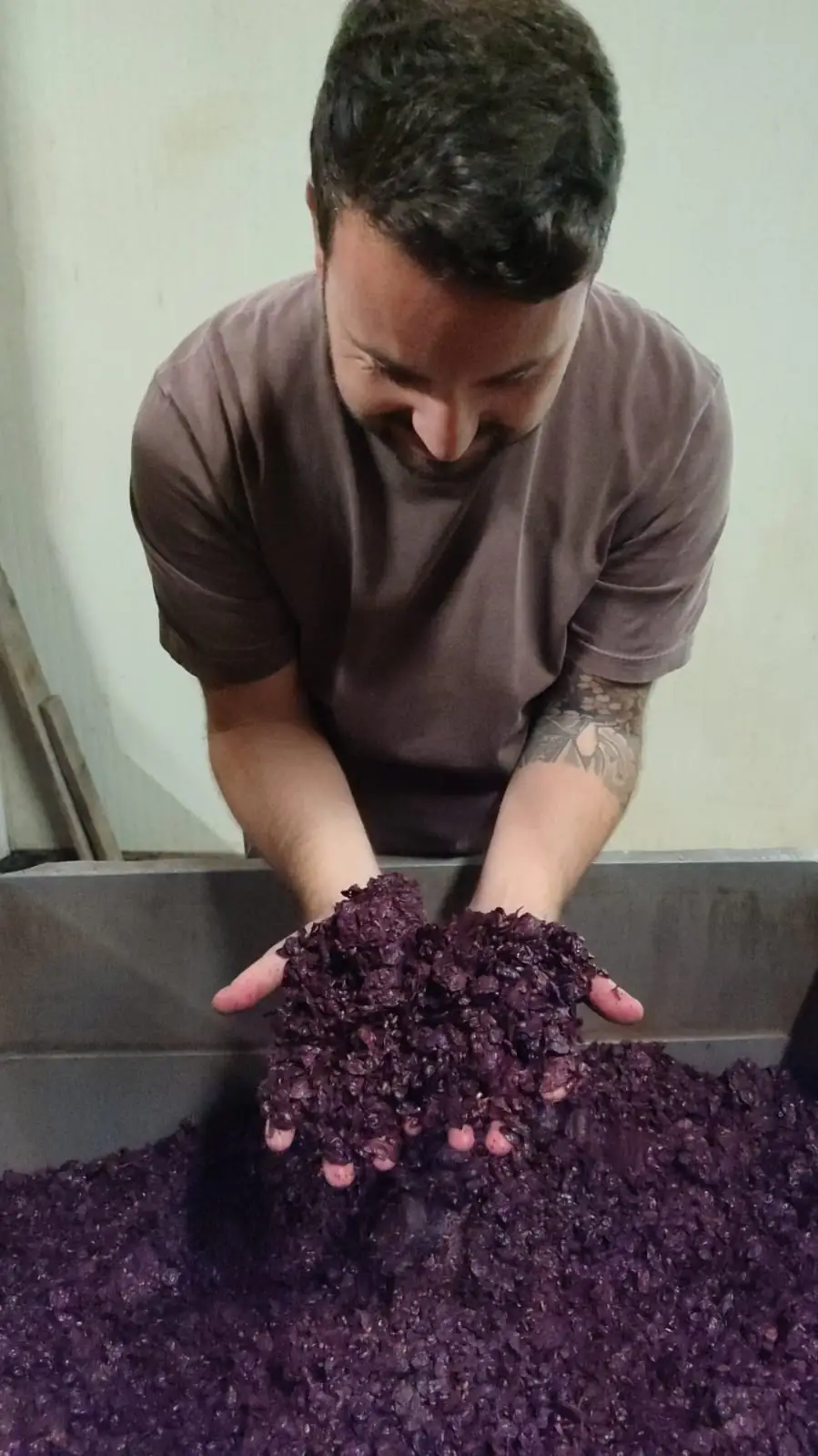 Mani immerse nel mosto appena pigiato